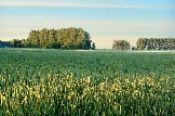 20838_html_m5785d10d.jpg