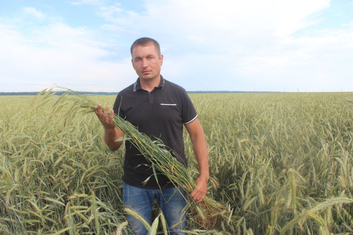 “Ак барс” агрокомплексы” ширкәте үрнәк итеп куярлык