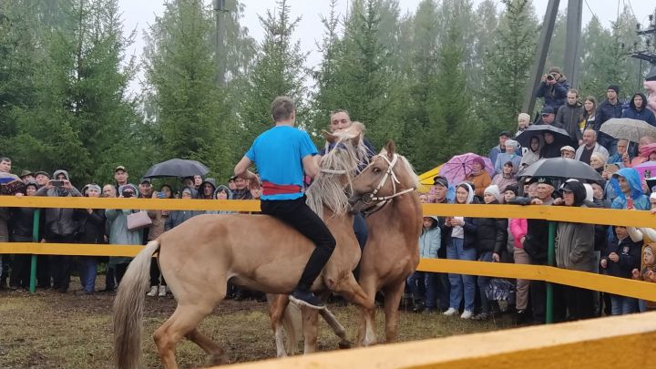 «Алтын дагалардан ут чәчелә, килә алар ярсып, ашкынып...» Яңа Кырлайда булган ат чабышларына гомуми күзәтү