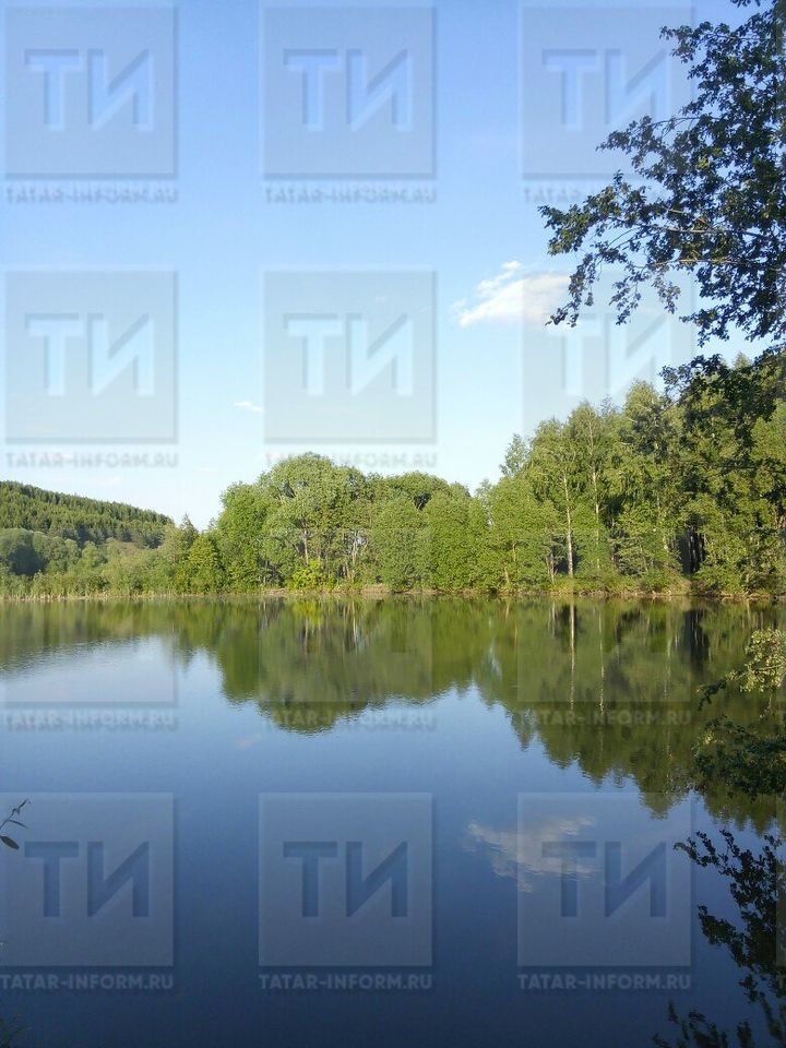 Иске-Йорт сулыгы бик хәтәр урын. Айнурның өч баласы ятим калды