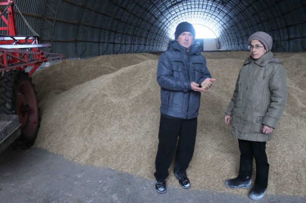 Курсалар җиңүчеләр арасында