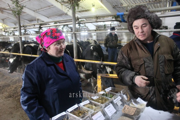 Арчада лаеклылар бүләк алды