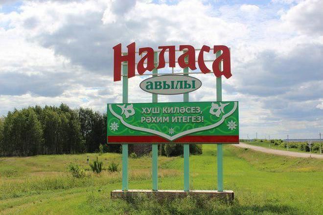 Наласалар авыл җырына клип ясау өчен аккошлар чакырткан