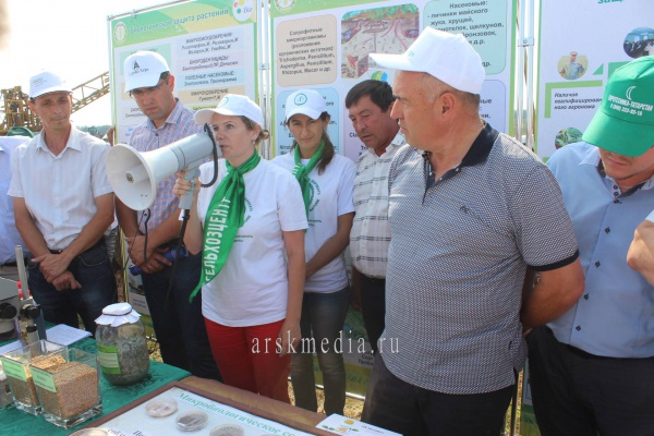 Арчада ашламаны… үстерәләр