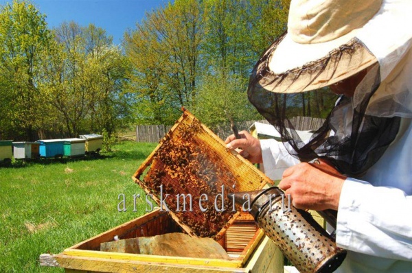 «Яңа гасыр»да безнекеләрне күрсәтәчәкләр