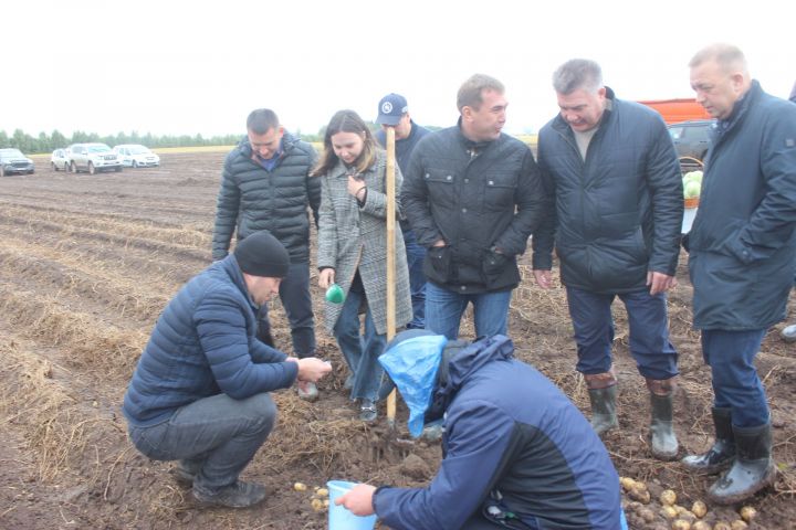 Авыл хуҗалыгы һәм азык-төлек министры Марат Җәббаров Арча районында булды