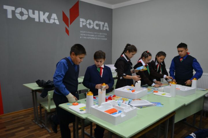 Үсеш биредән башлана