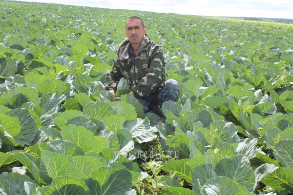 Арчада тырыш кешеләр яши
