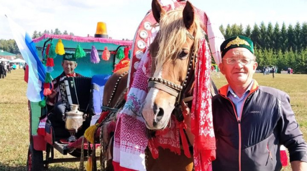 Бизәлгән җигүле атларда беренчелек - Курса-Почмактан Хәлил Хәсәновта