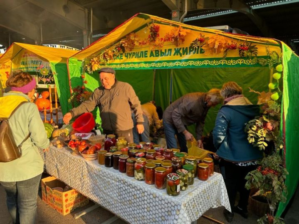 Арчалар Казан яринкәсендә
