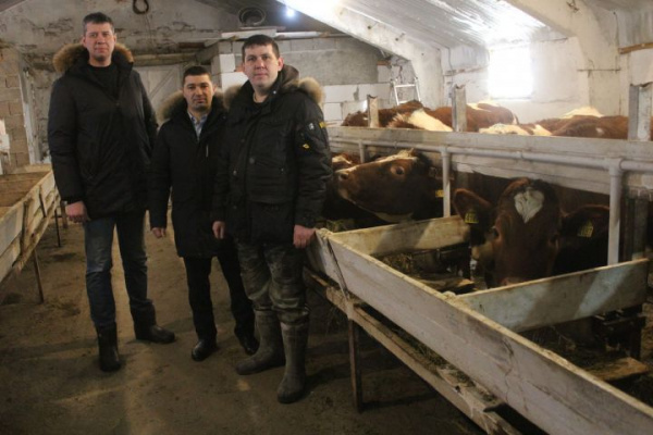 Шәһәрдән Каенсарга кайтып, зур эш башкаралар