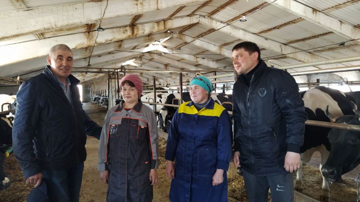 Сөт терлекчелегенең нәтиҗәле эшләвенә ирешүгә багышланган зона семинар-киңәшмәсе үткәрелде 