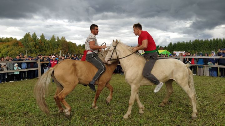 Арчада Ат көне