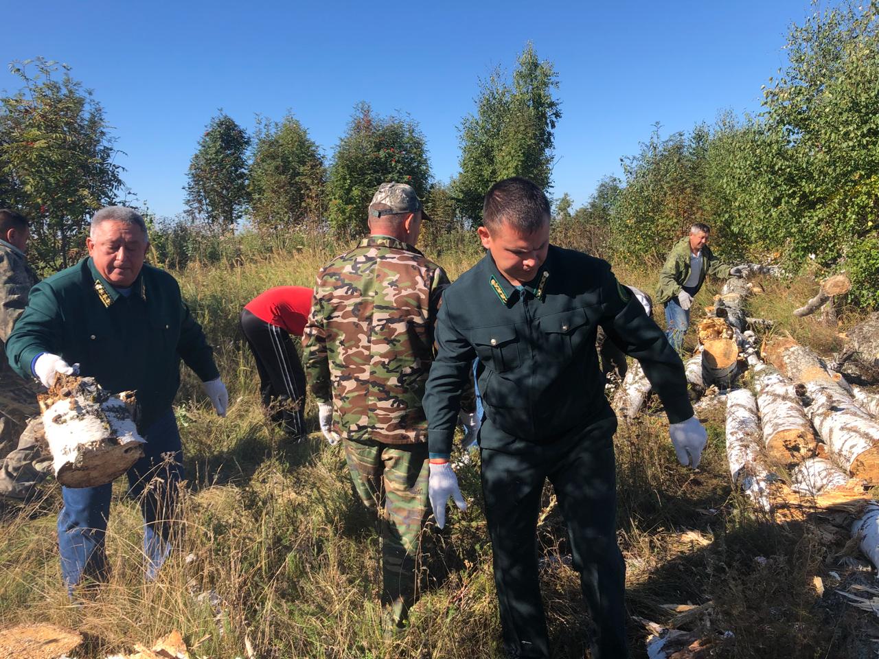 Арча районында урман атналыгы бара